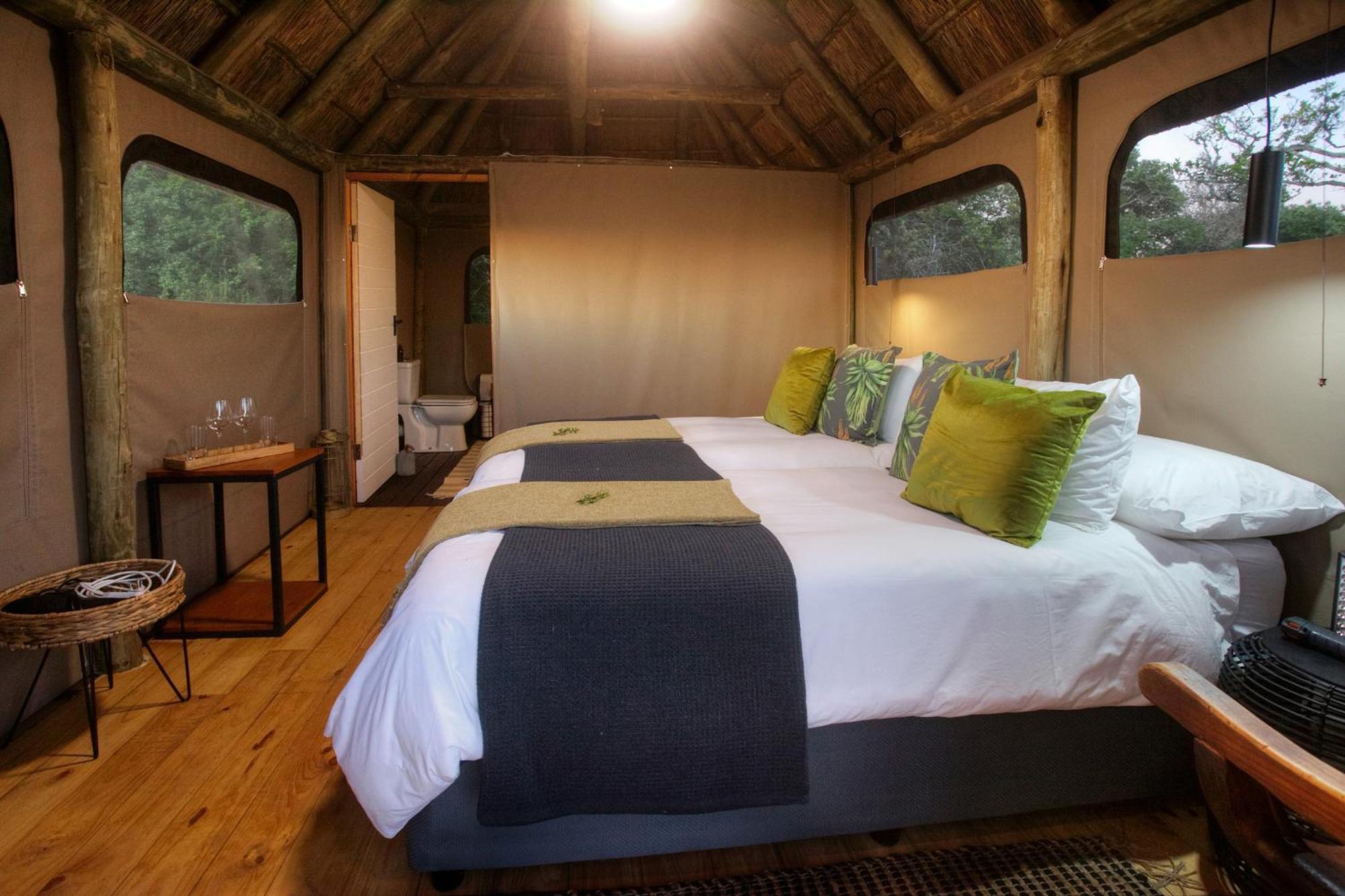 Addo Elephant Safari Lodge - Bellevue Forest Reserve Paterson Екстериор снимка