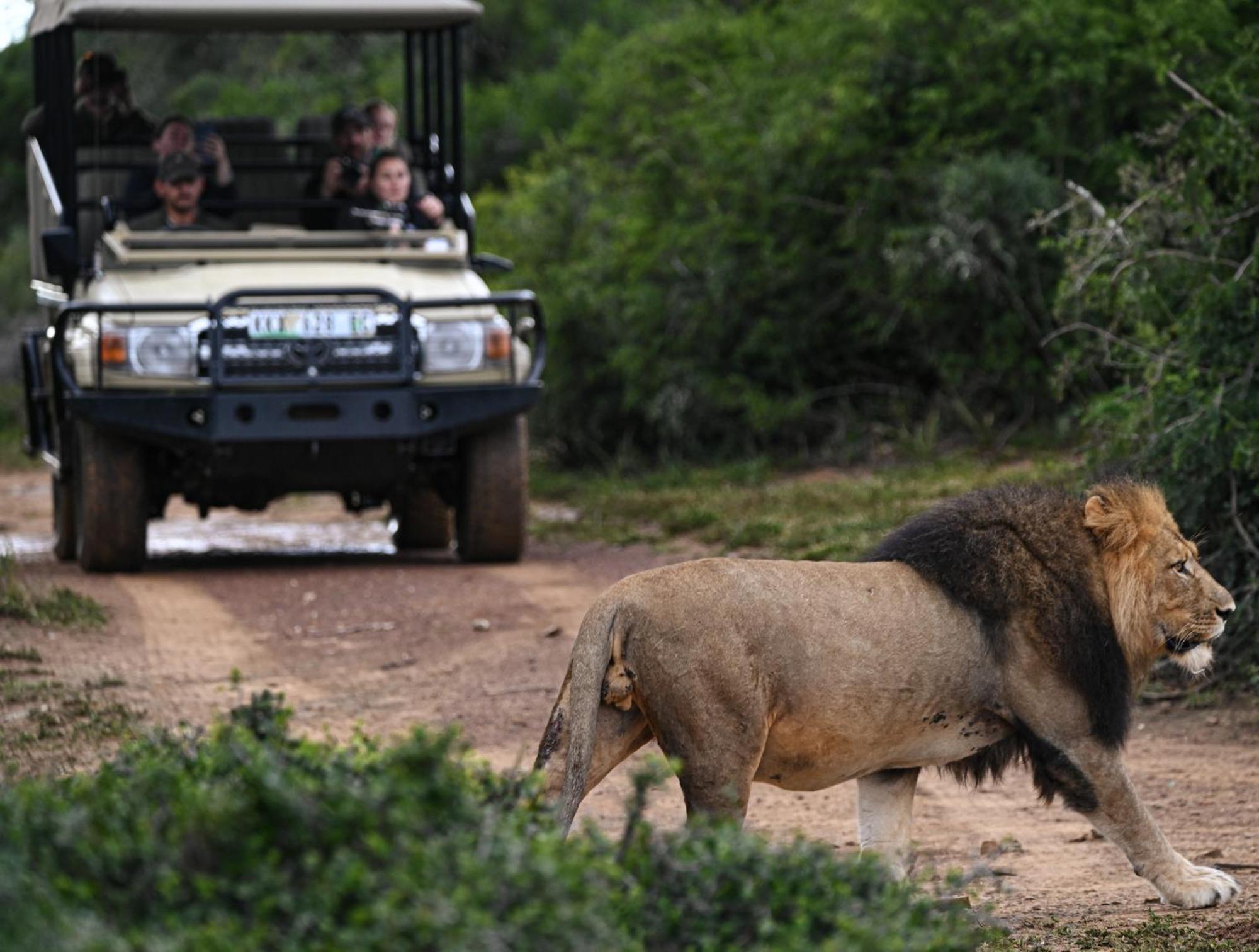 Addo Elephant Safari Lodge - Bellevue Forest Reserve Paterson Екстериор снимка