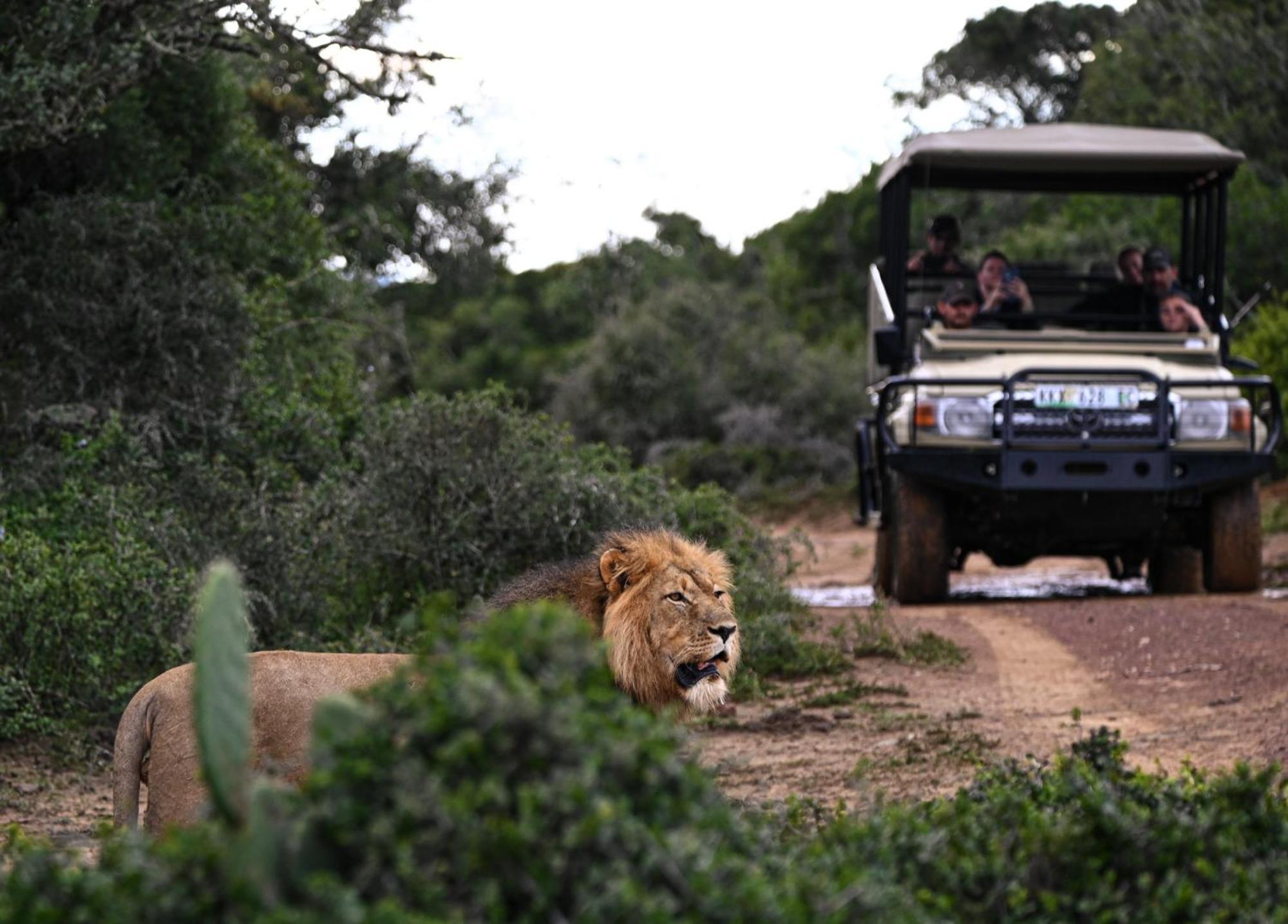 Addo Elephant Safari Lodge - Bellevue Forest Reserve Paterson Екстериор снимка
