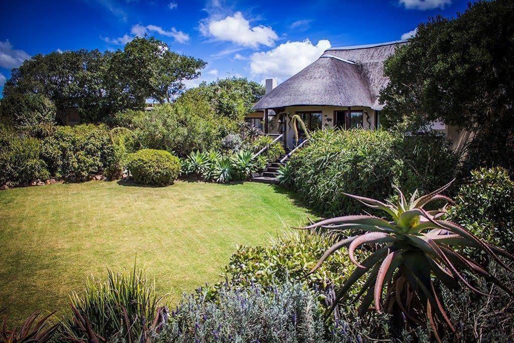 Addo Elephant Safari Lodge - Bellevue Forest Reserve Paterson Екстериор снимка