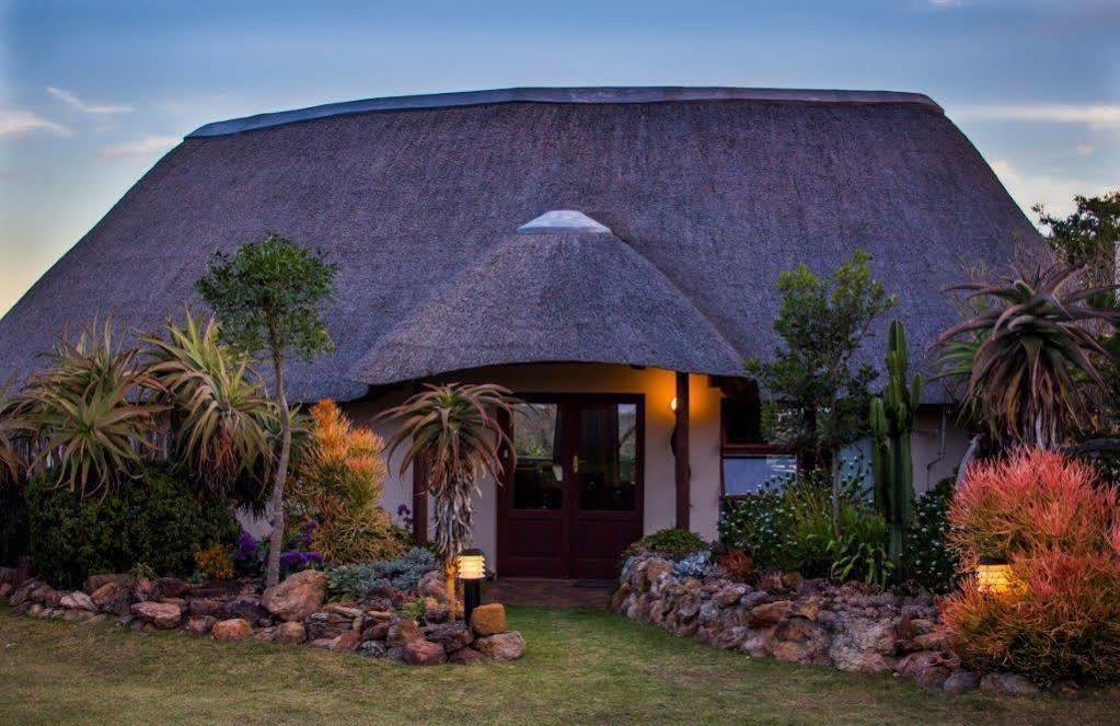 Addo Elephant Safari Lodge - Bellevue Forest Reserve Paterson Екстериор снимка