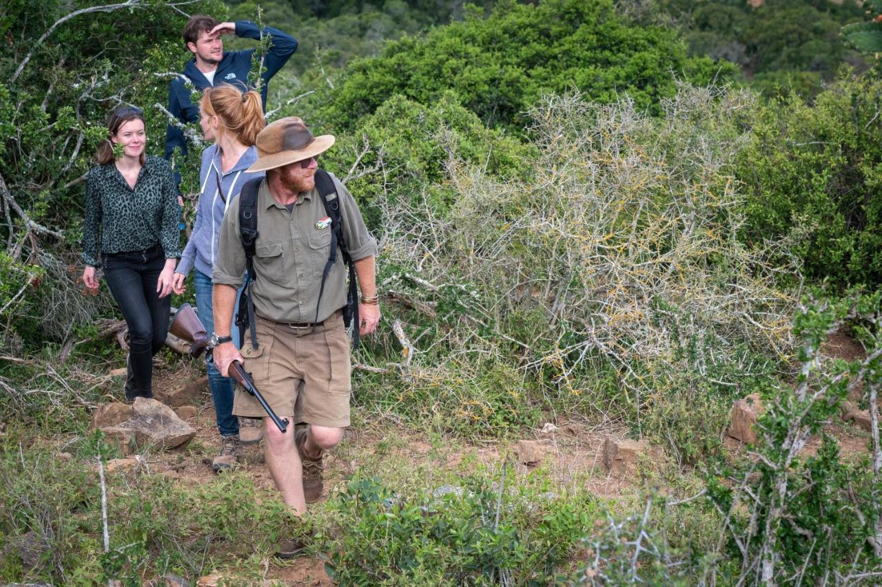 Addo Elephant Safari Lodge - Bellevue Forest Reserve Paterson Екстериор снимка