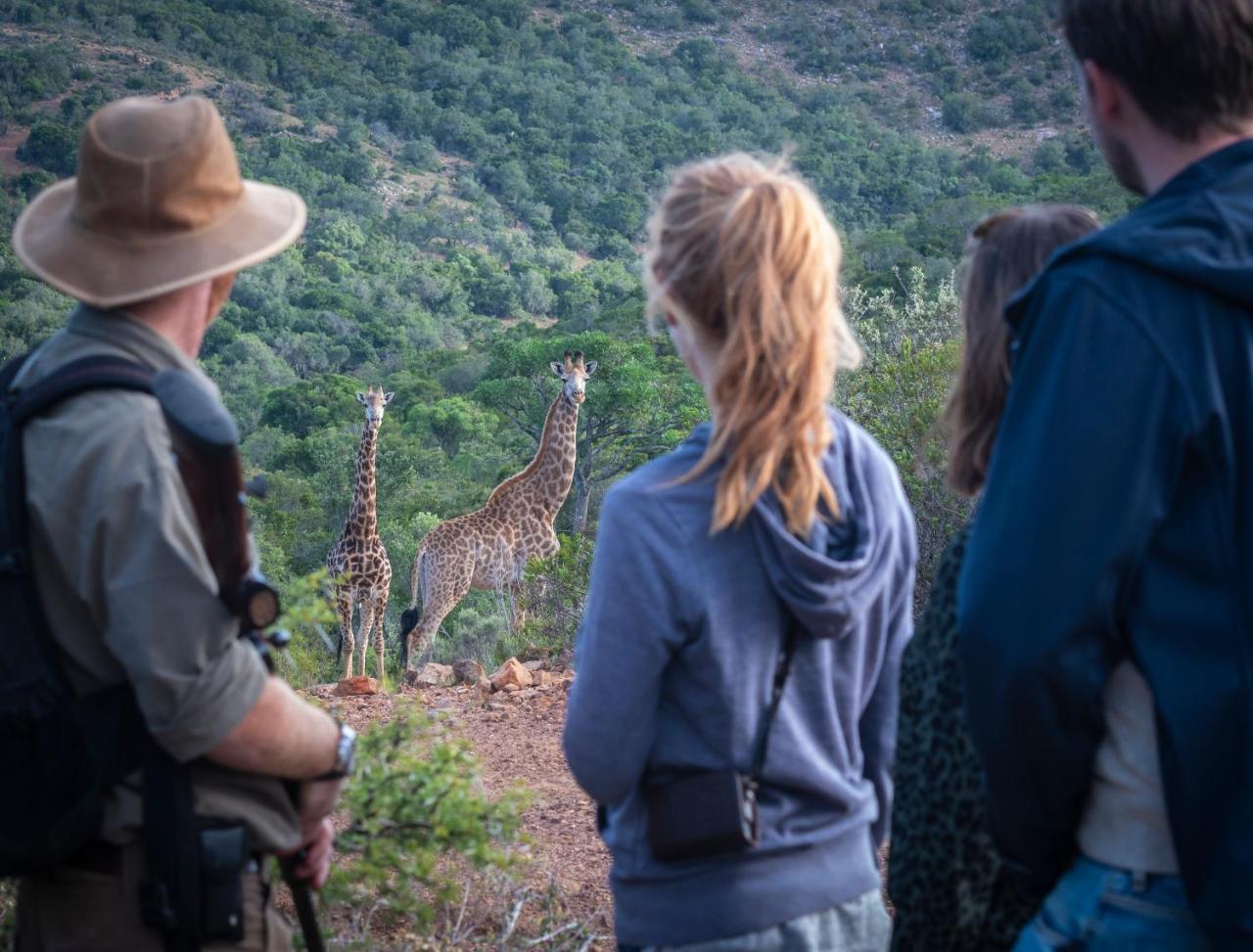 Addo Elephant Safari Lodge - Bellevue Forest Reserve Paterson Екстериор снимка