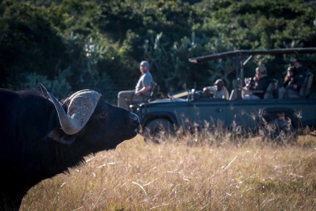 Addo Elephant Safari Lodge - Bellevue Forest Reserve Paterson Екстериор снимка