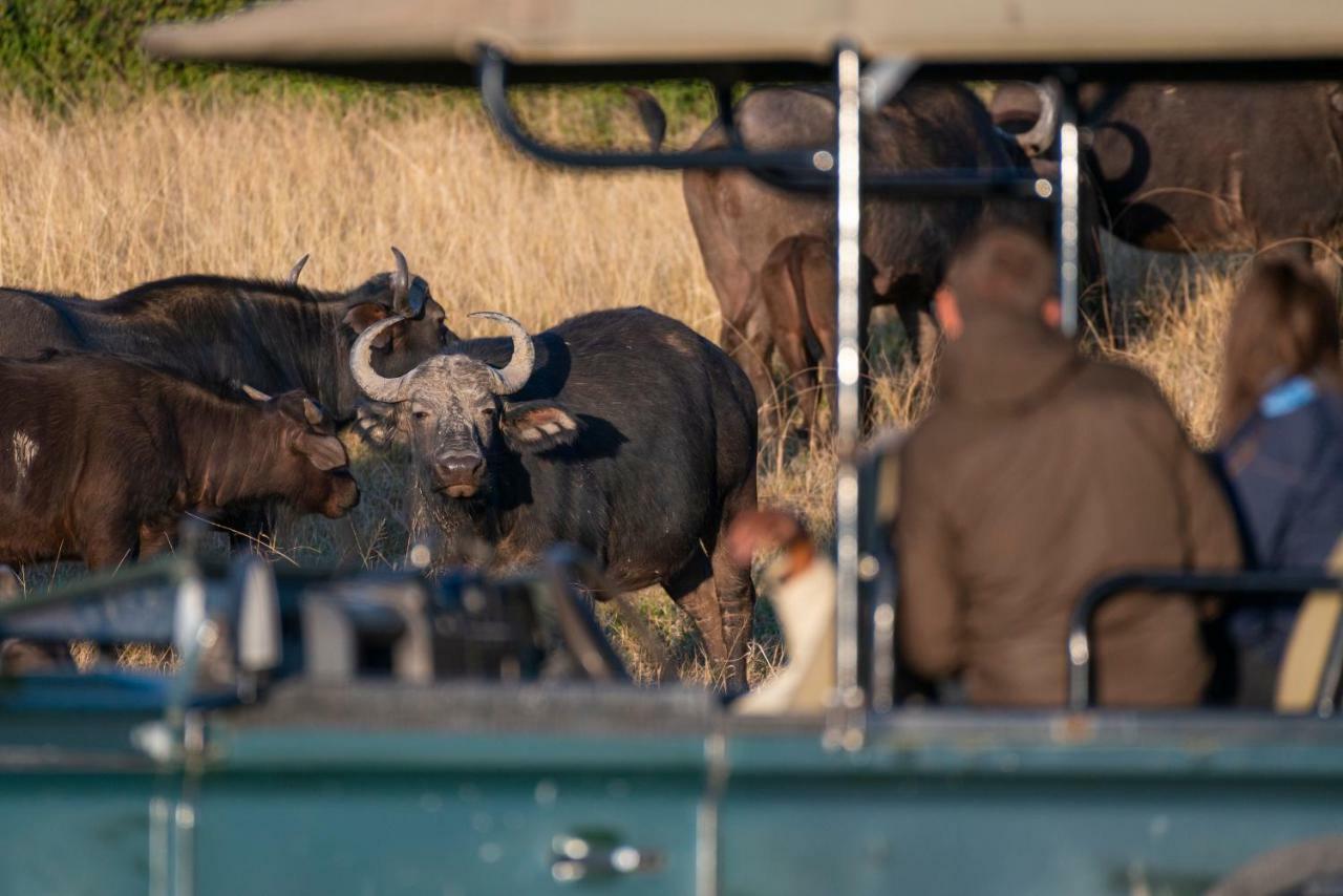 Addo Elephant Safari Lodge - Bellevue Forest Reserve Paterson Екстериор снимка