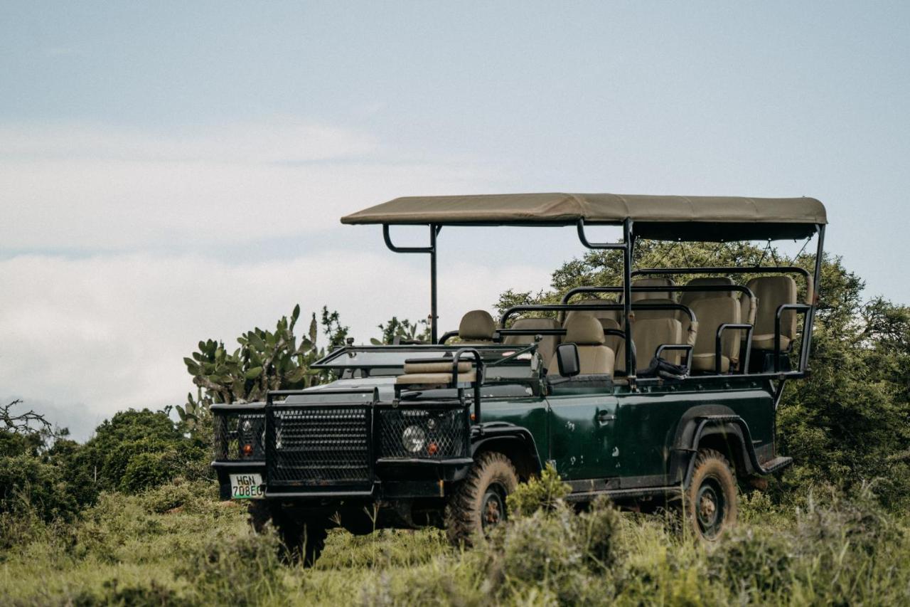 Addo Elephant Safari Lodge - Bellevue Forest Reserve Paterson Екстериор снимка