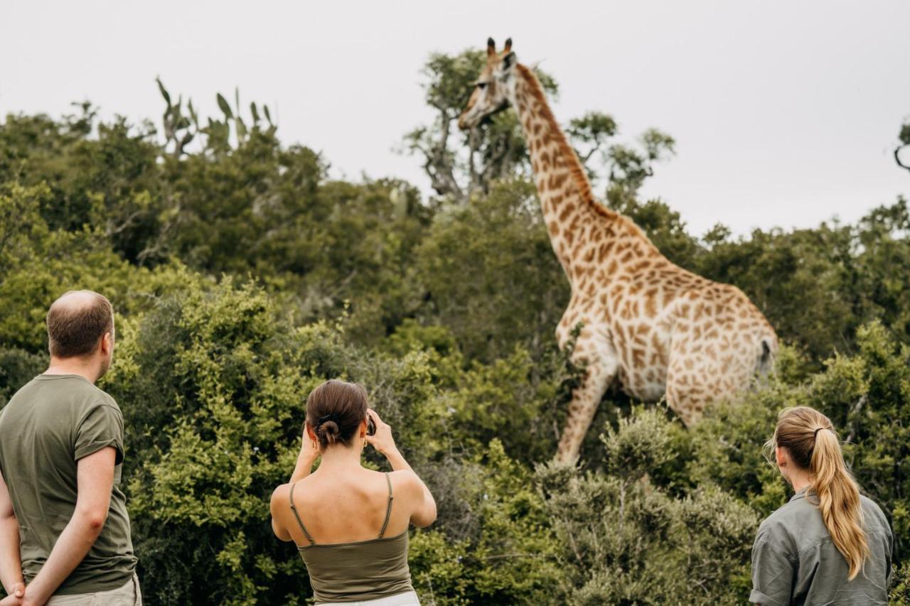 Addo Elephant Safari Lodge - Bellevue Forest Reserve Paterson Екстериор снимка